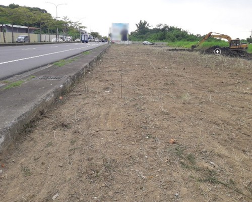 台南新市建地除草. 台南新市割草整地, 台南新市除草整地, 台南新市代客除草, 台南新市空地除草價格, 台南新市除草工, 台南新市整地除草費用, 台南新市建地割草, 台南新市整地除草