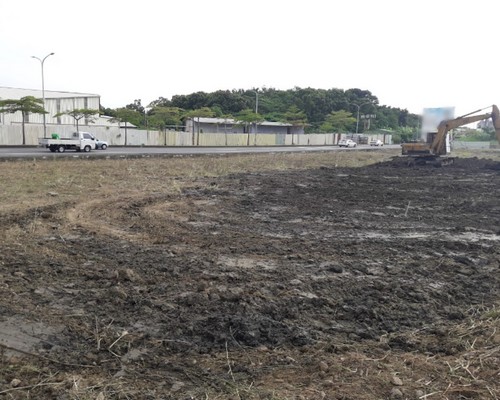 台南安定區建地除草. 台南安定區割草整地, 台南安定區除草整地, 台南安定區代客除草, 台南安定區空地除草價格, 台南安定區除草工, 台南安定區整地除草費用, 台南安定區建地割草, 台南安定區整地除草