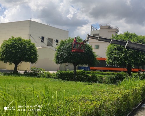 台南新營樹木修剪, 台南新營樹木整型, 台南新營樹木美容, 台南新營樹木塑型, 台南新營庭園樹木整理, 
						台南新營樹木處理, 台南新營景觀維護, 台南新營庭園維護, 台南新營割草, 台南新營園藝景觀設計