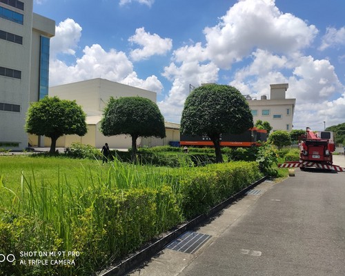 台南東山樹木修剪, 台南東山樹木整型, 台南東山樹木美容, 台南東山樹木塑型, 台南東山庭園樹木整理, 
						台南東山樹木處理, 台南東山景觀維護, 台南東山庭園維護, 台南東山割草, 台南東山園藝景觀設計