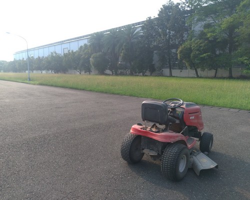 台南南區除草價格, 台南南區代客除草價格, 台南南區除草公司, 台南南區除草工人, 台南南區割草推薦, 台南南區空地除草, 台南南區割草, 
						台南南區除草整地, 台南南區除草, 台南南區樹木修剪, 台南南區景觀設計, 台南南區鋸樹, 台南南區環境整理, 台南南區庭園整修, 台南南區庭園維護, 台南南區園藝景觀設計