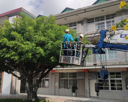 台南南化樹木整型, 台南南化樹木美容, 台南南化樹木塑型, 台南南化園藝造景, 台南南化草皮定期維護工程, 台南南化樹木修剪價格, 台南南化樹木修剪, 
						台南南化庭園樹木整理, 台南南化樹木處理, 台南南化景觀維護, 台南南化庭園維護, 台南南化割草, 台南南化園藝景觀設計