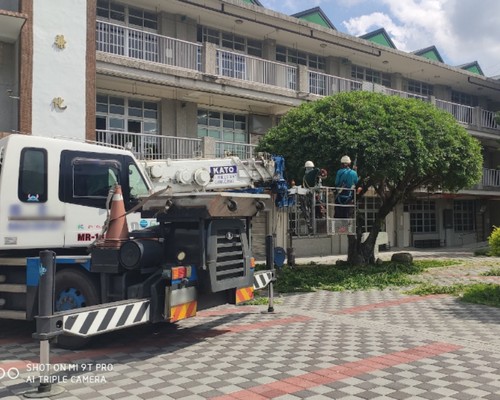 台南左鎮樹木整型, 台南左鎮樹木美容, 台南左鎮樹木塑型, 台南左鎮園藝造景, 台南左鎮草皮定期維護工程, 台南左鎮樹木修剪價格, 台南左鎮樹木修剪, 
						台南左鎮庭園樹木整理, 台南左鎮樹木處理, 台南左鎮景觀維護, 台南左鎮庭園維護, 台南左鎮割草, 台南左鎮園藝景觀設計