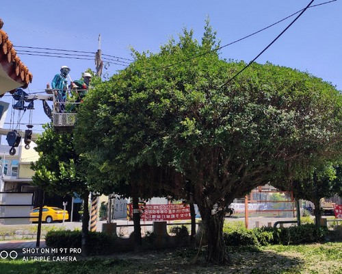 台南新化樹木整型, 台南新化樹木美容, 台南新化樹木塑型, 台南新化園藝造景, 台南新化草皮定期維護工程, 台南新化樹木修剪價格, 台南新化樹木修剪, 
						台南新化庭園樹木整理, 台南新化樹木處理, 台南新化景觀維護, 台南新化庭園維護, 台南新化割草, 台南新化園藝景觀設計