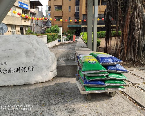 台南下營草皮鋪設, 台南下營庭園景觀維護, 台南下營園藝維護, 台南下營景觀庭園維護, 台南下營景觀維護, 台南下營花草種植, 台南下營除草, 
						台南下營樹木修剪, 台南下營景觀設計, 台南下營鋸樹, 台南下營環境整理, 台南下營庭園整修, 台南下營割草, 台南下營庭園維護, 台南下營園藝景觀設計