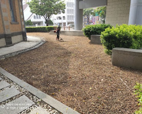 台南鹽水草皮鋪設, 台南鹽水庭園景觀維護, 台南鹽水園藝維護, 台南鹽水景觀庭園維護, 台南鹽水景觀維護, 台南鹽水花草種植, 台南鹽水除草, 
						台南鹽水樹木修剪, 台南鹽水景觀設計, 台南鹽水鋸樹, 台南鹽水環境整理, 台南鹽水庭園整修, 台南鹽水割草, 台南鹽水庭園維護, 台南鹽水園藝景觀設計