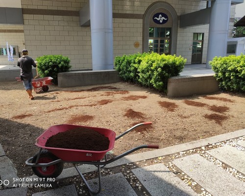 台南大內草皮鋪設, 台南大內庭園景觀維護, 台南大內園藝維護, 台南大內景觀庭園維護, 台南大內景觀維護, 台南大內花草種植, 台南大內除草, 
						台南大內樹木修剪, 台南大內景觀設計, 台南大內鋸樹, 台南大內環境整理, 台南大內庭園整修, 台南大內割草, 台南大內庭園維護, 台南大內園藝景觀設計