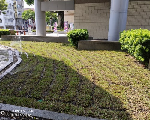 台南草皮鋪設, 台南庭園景觀維護, 台南園藝維護, 台南景觀庭園維護, 台南景觀維護, 台南花草種植, 台南除草, 
						台南樹木修剪, 台南景觀設計, 台南鋸樹, 台南環境整理, 台南庭園整修, 台南割草, 台南庭園維護, 台南園藝景觀設計