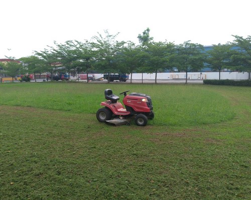 台南公園用地割草除草