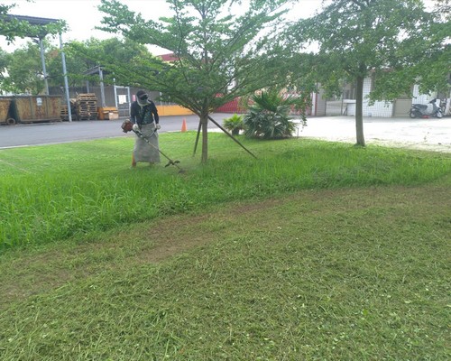 台南除草價格, 台南代客除草價格, 台南除草公司, 台南除草工人, 台南割草推薦, 台南空地除草