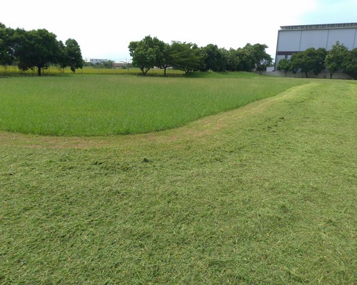 台南除草價格, 台南代客除草價格, 台南除草公司, 台南除草工人, 台南割草推薦, 台南空地除草