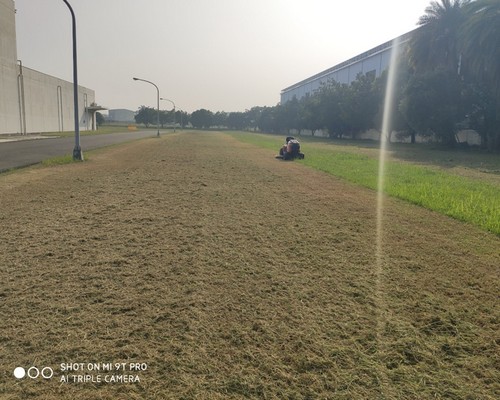 台南除草整地, 台南除草專家, 台南除草一坪多少錢?, 台南除草價格, 台南代客除草價格, 台南除草公司, 台南除草工人, 台南割草推薦, 台南空地除草