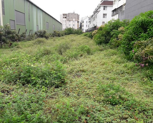 台南除草割草, 台南割草除草, 台南除草整地, 台南空地除草, 台南空地割草, 台南除草, 
						台南環境整理, 台南庭園整修, 台南樹木修剪, 台南割草, 台南庭園維護, 台南園藝景觀設計