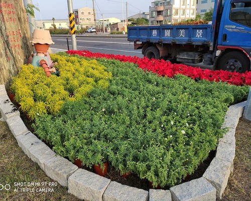 台南麻豆果園除草, 台南麻豆庭院除草, 台南麻豆景觀設計, 台南麻豆市容美化, 台南麻豆道路景觀設計, 台南麻豆除草整地, 台南麻豆除草一分地多少錢？, 
							台南麻豆除草專家, 台南麻豆除草一坪多少錢?, 台南麻豆除草價格, 台南麻豆代客除草價格, 台南麻豆除草公司, 台南麻豆除草工人, 台南麻豆割草推薦, 台南麻豆空地除草