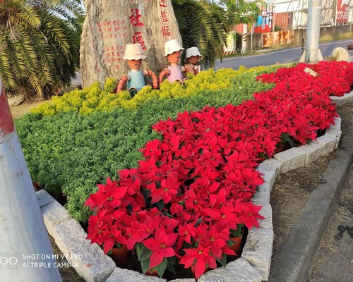 台南果園除草, 台南庭院除草, 台南景觀設計, 台南市容美化, 台南道路景觀設計, 台南除草整地, 台南除草一分地多少錢？, 
							台南除草專家, 台南除草一坪多少錢?, 台南除草價格, 台南代客除草價格, 台南除草公司, 台南除草工人, 台南割草推薦, 台南空地除草