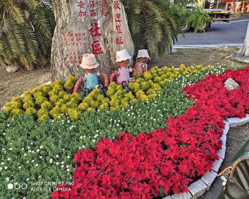 台南關廟果園除草, 台南關廟庭院除草, 台南關廟景觀設計, 台南關廟市容美化, 台南關廟道路景觀設計, 台南關廟除草整地, 台南關廟除草一分地多少錢？, 
							台南關廟除草專家, 台南除草一坪多少錢?, 台南關廟除草價格, 台南關廟代客除草價格, 台南關廟除草公司, 台南除草工人, 台南關廟割草推薦, 台南關廟空地除草