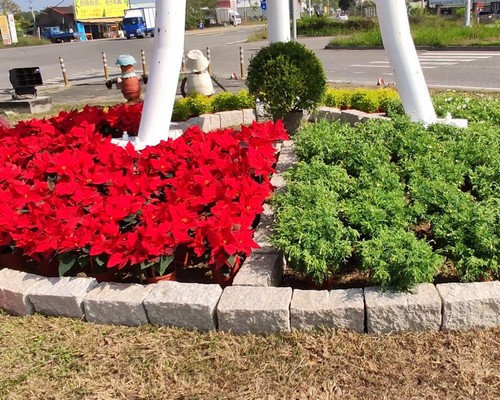 台南果園除草, 台南庭院除草, 台南景觀設計, 台南市容美化, 台南道路景觀設計, 台南除草整地, 台南除草一分地多少錢？, 
							台南除草專家, 台南除草一坪多少錢?, 台南除草價格, 台南代客除草價格, 台南除草公司, 台南除草工人, 台南割草推薦, 台南空地除草