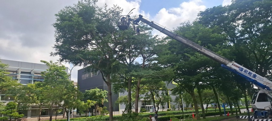 台南防颱樹木修剪作業, 台南抑制雜草生長, 台南樹木修剪, 台南園藝維護, 台南園藝景觀養護工程, 台南園藝維護費用, 台南園藝修剪費用