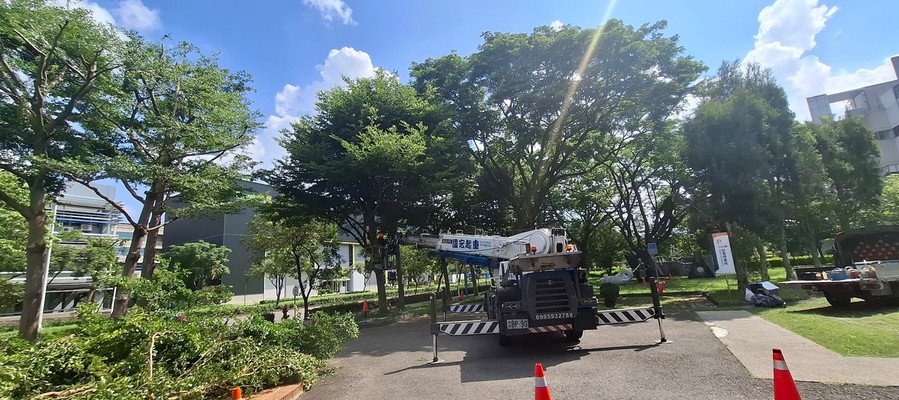 台南防颱樹木修剪作業, 台南抑制雜草生長, 台南樹木修剪, 台南園藝維護, 台南園藝景觀養護工程, 台南園藝維護費用, 台南園藝修剪費用