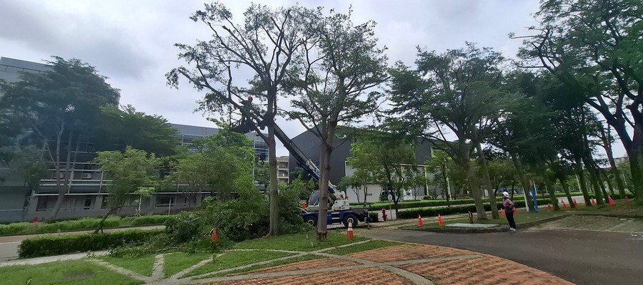 台南防颱樹木修剪作業, 台南抑制雜草生長, 台南樹木修剪, 台南園藝維護, 台南園藝景觀養護工程, 台南園藝維護費用, 台南園藝修剪費用