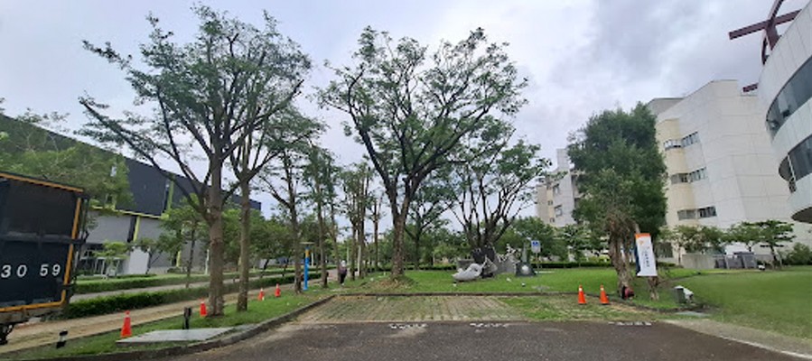 台南防颱樹木修剪作業, 台南抑制雜草生長, 台南樹木修剪, 台南園藝維護, 台南園藝景觀養護工程, 台南園藝維護費用, 台南園藝修剪費用
