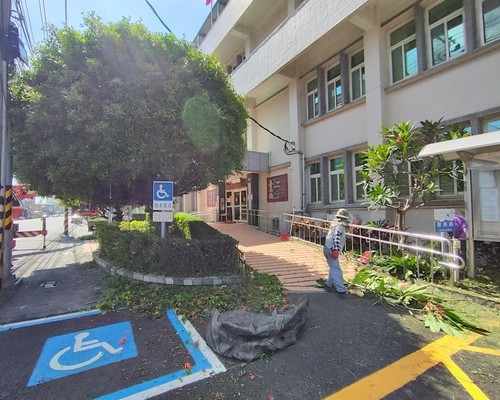 台南樹木造形修剪, 台南中西區樹木移植, 台南中西區園藝維護, 台南中西區鋸樹, 台南中西區草皮鋪設, 台南中西區庭園造景, 台南中西區樹木修剪, 台南中西區樹木移除