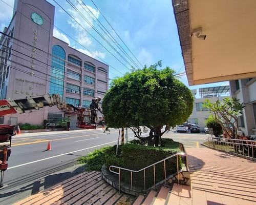 台南樹木造形修剪, 台南樹木移植, 台南園藝維護, 台南鋸樹, 台南草皮鋪設, 台南庭園造景, 台南樹木修剪, 台南樹木移除