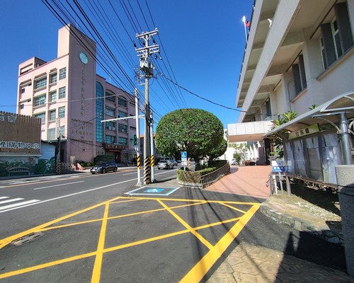 台南樹木造形修剪, 台南東區樹木移植, 台南東區園藝維護, 台南東區鋸樹, 台南東區草皮鋪設, 台南東區庭園造景, 台南東區樹木修剪, 台南東區樹木移除