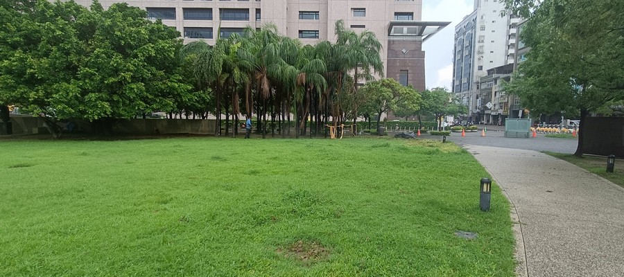 台南公園綠地整理作業, 台南風災倒樹運棄, 台南園藝造景, 台南園藝維護, 台南庭園景觀整理, 台南庭院綠化造景維護, 台南造景式景觀道路沿線植栽, 台南不定期樹木維護修剪, 
						台南草皮種植, 台南園藝維護, 台南割草, 台南修剪樹木, 台南排水施肥, 台南定期修剪, 台南樹木整型, 台南樹木美容, 台南樹木塑型, 台南園藝造景, 台南草皮定期維護工程, 
						台南樹木修剪價格, 台南樹木修剪, 台南庭園樹木整理, 台南樹木處理, 台南景觀維護, 台南園藝景觀設計