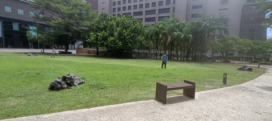 台南公園綠地整理作業, 台南風災倒樹運棄, 台南新營園藝造景, 台南新營園藝維護, 台南新營庭園景觀整理, 台南新營庭院綠化造景維護, 台南新營造景式景觀道路沿線植栽, 台南新營不定期樹木維護修剪, 
						台南新營草皮種植, 台南新營園藝維護, 台南新營割草, 台南新營修剪樹木, 台南新營排水施肥, 台南新營定期修剪, 台南新營樹木整型, 台南新營樹木美容, 台南新營樹木塑型, 台南新營園藝造景, 台南新營草皮定期維護工程, 
						台南新營樹木修剪價格, 台南新營樹木修剪, 台南新營庭園樹木整理, 台南新營樹木處理, 台南新營景觀維護, 台南新營園藝景觀設計