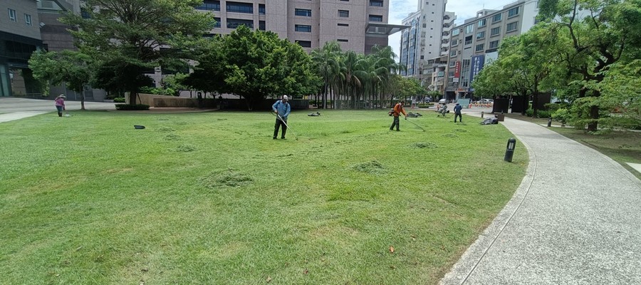 台南公園綠地整理作業, 台南風災倒樹運棄, 台南園藝造景, 台南園藝維護, 台南庭園景觀整理, 台南庭院綠化造景維護, 台南造景式景觀道路沿線植栽, 台南不定期樹木維護修剪, 
						台南草皮種植, 台南園藝維護, 台南割草, 台南修剪樹木, 台南排水施肥, 台南定期修剪, 台南樹木整型, 台南樹木美容, 台南樹木塑型, 台南園藝造景, 台南草皮定期維護工程, 
						台南樹木修剪價格, 台南樹木修剪, 台南庭園樹木整理, 台南樹木處理, 台南景觀維護, 台南園藝景觀設計