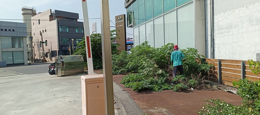 台南雜草雜木修剪清運, 台南除草整地, 台南除草專家, 台南除草一坪多少錢?, 台南除草價格, 台南代客除草價格, 台南除草公司, 台南除草工人, 台南割草推薦, 台南空地除草
