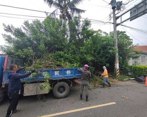將軍區空地雜草雜木整理清運, 將軍區樹木修剪, 將軍區割草, 將軍區庭園維護, 將軍區園藝景觀設計, 將軍區園藝造景, 將軍區園藝維護, 將軍區庭園景觀整理, 將軍區庭院綠化造景維護, 將軍區造景式景觀道路沿線植栽, 將軍區不定期樹木維護修剪, 
						將軍區草皮種植, 將軍區園藝維護, 將軍區割草, 將軍區修剪樹木, 將軍區排水施肥, 將軍區定期修剪, 將軍區樹木整型, 將軍區樹木美容, 將軍區樹木塑型, 將軍區園藝造景, 將軍區草皮定期維護工程, 
						將軍區樹木修剪價格, 將軍區樹木修剪, 將軍區庭園樹木整理, 將軍區樹木處理, 將軍區景觀維護, 將軍區園藝景觀設計