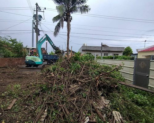 台南空地雜草雜木整理清運, 台南樹木修剪, 台南割草, 台南庭園維護, 台南園藝景觀設計, 台南園藝造景, 台南園藝維護, 台南庭園景觀整理, 台南庭院綠化造景維護, 台南造景式景觀道路沿線植栽, 台南不定期樹木維護修剪, 
						台南草皮種植, 台南園藝維護, 台南割草, 台南修剪樹木, 台南排水施肥, 台南定期修剪, 台南樹木整型, 台南樹木美容, 台南樹木塑型, 台南園藝造景, 台南草皮定期維護工程, 
						台南樹木修剪價格, 台南樹木修剪, 台南庭園樹木整理, 台南樹木處理, 台南景觀維護, 台南園藝景觀設計