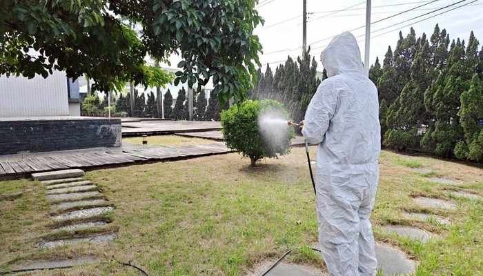 台南樹木病蟲害藥物噴灑, 台南樹木修剪, 台南割草, 台南庭園維護, 台南園藝景觀設計, 台南園藝造景, 台南園藝維護, 台南庭園景觀整理, 台南庭院綠化造景維護, 台南造景式景觀道路沿線植栽, 台南不定期樹木維護修剪, 
						台南草皮種植, 台南園藝維護, 台南割草, 台南修剪樹木, 台南排水施肥, 台南定期修剪, 台南樹木整型, 台南樹木美容, 台南樹木塑型, 台南園藝造景, 台南草皮定期維護工程, 
						台南樹木修剪價格, 台南樹木修剪, 台南庭園樹木整理, 台南樹木處理, 台南景觀維護, 台南園藝景觀設計