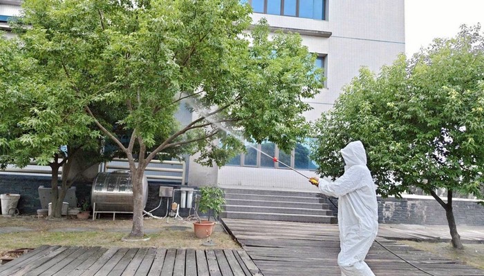 台南樹木病蟲害藥物噴灑, 台南樹木修剪, 台南割草, 台南庭園維護, 台南園藝景觀設計, 台南園藝造景, 台南園藝維護, 台南庭園景觀整理, 台南庭院綠化造景維護, 台南造景式景觀道路沿線植栽, 台南不定期樹木維護修剪, 
						台南草皮種植, 台南園藝維護, 台南割草, 台南修剪樹木, 台南排水施肥, 台南定期修剪, 台南樹木整型, 台南樹木美容, 台南樹木塑型, 台南園藝造景, 台南草皮定期維護工程, 
						台南樹木修剪價格, 台南樹木修剪, 台南庭園樹木整理, 台南樹木處理, 台南景觀維護, 台南園藝景觀設計