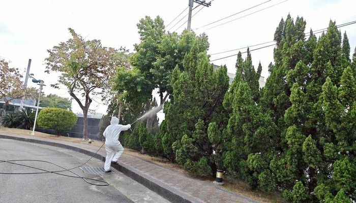 台南樹木病蟲害藥物噴灑, 台南樹木修剪, 台南割草, 台南庭園維護, 台南園藝景觀設計, 台南園藝造景, 台南園藝維護, 台南庭園景觀整理, 台南庭院綠化造景維護, 台南造景式景觀道路沿線植栽, 台南不定期樹木維護修剪, 
						台南草皮種植, 台南園藝維護, 台南割草, 台南修剪樹木, 台南排水施肥, 台南定期修剪, 台南樹木整型, 台南樹木美容, 台南樹木塑型, 台南園藝造景, 台南草皮定期維護工程, 
						台南樹木修剪價格, 台南樹木修剪, 台南庭園樹木整理, 台南樹木處理, 台南景觀維護, 台南園藝景觀設計