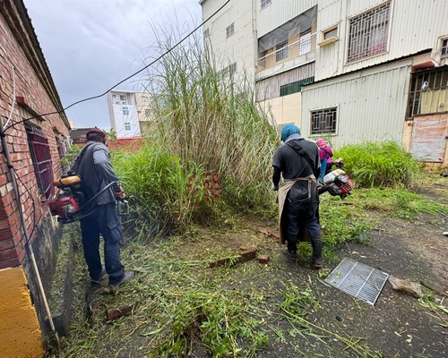 新營空地除草, 新營除草+清運, 新營樹木修剪, 新營割草, 新營庭園維護, 新營園藝景觀設計, 新營園藝造景, 新營園藝維護, 新營庭園景觀整理, 新營庭院綠化造景維護, 新營造景式景觀道路沿線植栽, 新營不定期樹木維護修剪, 
						新營草皮種植, 新營園藝維護, 新營割草, 新營修剪樹木, 新營排水施肥, 新營定期修剪, 新營樹木整型, 新營樹木美容, 新營樹木塑型, 新營園藝造景, 新營草皮定期維護工程, 
						新營樹木修剪價格, 新營樹木修剪, 新營庭園樹木整理, 新營樹木處理, 新營景觀維護, 新營園藝景觀設計