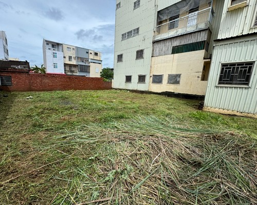 新營空地除草, 新營除草+清運, 新營樹木修剪, 新營割草, 新營庭園維護, 新營園藝景觀設計, 新營園藝造景, 新營園藝維護, 新營庭園景觀整理, 新營庭院綠化造景維護, 新營造景式景觀道路沿線植栽, 新營不定期樹木維護修剪, 
						新營草皮種植, 新營園藝維護, 新營割草, 新營修剪樹木, 新營排水施肥, 新營定期修剪, 新營樹木整型, 新營樹木美容, 新營樹木塑型, 新營園藝造景, 新營草皮定期維護工程, 
						新營樹木修剪價格, 新營樹木修剪, 新營庭園樹木整理, 新營樹木處理, 新營景觀維護, 新營園藝景觀設計