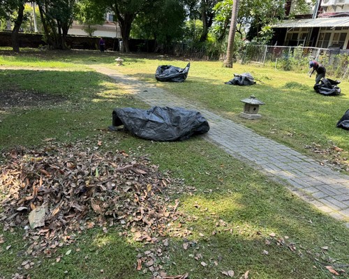 善化樹木修剪, 善化割草, 善化庭園維護, 善化園藝景觀設計, 善化園藝造景, 善化園藝維護, 善化庭園景觀整理, 善化庭院綠化造景維護, 善化造景式景觀道路沿線植栽, 善化不定期樹木維護修剪, 
						善化草皮種植, 善化園藝維護, 善化割草, 善化修剪樹木, 善化排水施肥, 善化定期修剪, 善化樹木整型, 善化樹木美容, 善化樹木塑型, 善化園藝造景, 善化草皮定期維護工程, 
						善化樹木修剪價格, 善化樹木修剪, 善化庭園樹木整理, 善化樹木處理, 善化景觀維護, 善化園藝景觀設計