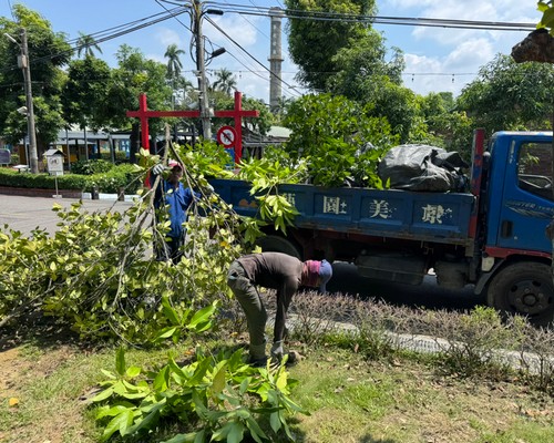 善化樹木修剪, 善化割草, 善化庭園維護, 善化園藝景觀設計, 善化園藝造景, 善化園藝維護, 善化庭園景觀整理, 善化庭院綠化造景維護, 善化造景式景觀道路沿線植栽, 善化不定期樹木維護修剪, 
						善化草皮種植, 善化園藝維護, 善化割草, 善化修剪樹木, 善化排水施肥, 善化定期修剪, 善化樹木整型, 善化樹木美容, 善化樹木塑型, 善化園藝造景, 善化草皮定期維護工程, 
						善化樹木修剪價格, 善化樹木修剪, 善化庭園樹木整理, 善化樹木處理, 善化景觀維護, 善化園藝景觀設計