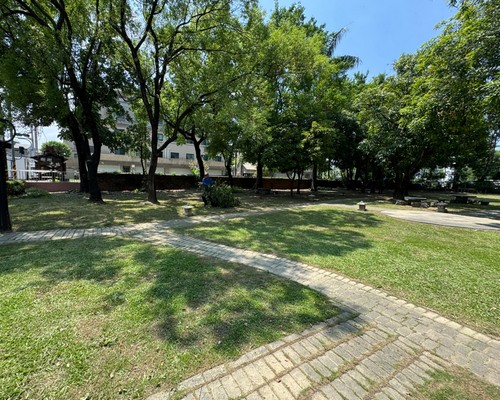 善化樹木修剪, 善化割草, 善化庭園維護, 善化園藝景觀設計, 善化園藝造景, 善化園藝維護, 善化庭園景觀整理, 善化庭院綠化造景維護, 善化造景式景觀道路沿線植栽, 善化不定期樹木維護修剪, 
						善化草皮種植, 善化園藝維護, 善化割草, 善化修剪樹木, 善化排水施肥, 善化定期修剪, 善化樹木整型, 善化樹木美容, 善化樹木塑型, 善化園藝造景, 善化草皮定期維護工程, 
						善化樹木修剪價格, 善化樹木修剪, 善化庭園樹木整理, 善化樹木處理, 善化景觀維護, 善化園藝景觀設計