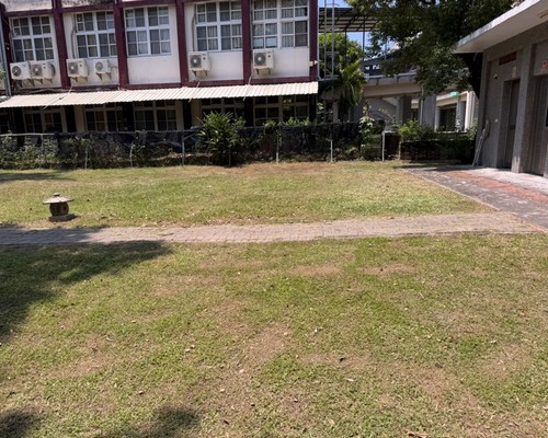 台南樹木修剪, 台南割草, 台南庭園維護, 台南園藝景觀設計, 台南園藝造景, 台南園藝維護, 台南庭園景觀整理, 台南庭院綠化造景維護, 台南造景式景觀道路沿線植栽, 台南不定期樹木維護修剪, 
						台南草皮種植, 台南園藝維護, 台南割草, 台南修剪樹木, 台南排水施肥, 台南定期修剪, 台南樹木整型, 台南樹木美容, 台南樹木塑型, 台南園藝造景, 台南草皮定期維護工程, 
						台南樹木修剪價格, 台南樹木修剪, 台南庭園樹木整理, 台南樹木處理, 台南景觀維護, 台南園藝景觀設計
