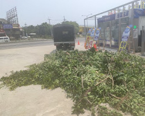 台南景觀草皮鋪植, 台南鋪草皮, 台南園藝草皮, 台南鋪草皮工程, 台南草皮施工, 台南鋪草皮價格, 台南草皮養護