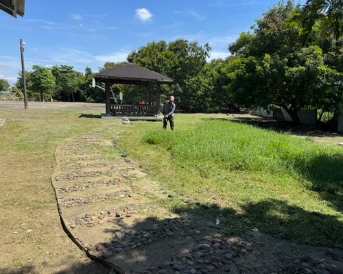 善化公園除草, 善化空地除草, 善化除草+清運, 善化樹木修剪, 善化割草, 善化庭園維護, 善化園藝景觀設計, 善化園藝造景, 善化園藝維護, 善化庭園景觀整理, 善化庭院綠化造景維護, 善化造景式景觀道路沿線植栽, 善化不定期樹木維護修剪, 
						善化草皮種植, 善化園藝維護, 善化割草, 善化修剪樹木, 善化排水施肥, 善化定期修剪, 善化樹木整型, 善化樹木美容, 善化樹木塑型, 善化園藝造景, 善化草皮定期維護工程, 
						善化樹木修剪價格, 善化樹木修剪, 善化庭園樹木整理, 善化樹木處理, 善化景觀維護, 善化園藝景觀設計