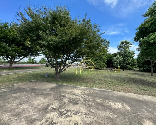 台南空地除草, 台南除草+清運, 台南樹木修剪, 台南割草, 台南庭園維護, 台南園藝景觀設計, 台南園藝造景, 台南園藝維護, 台南庭園景觀整理, 台南庭院綠化造景維護, 台南造景式景觀道路沿線植栽, 台南不定期樹木維護修剪, 
						台南草皮種植, 台南園藝維護, 台南割草, 台南修剪樹木, 台南排水施肥, 台南定期修剪, 台南樹木整型, 台南樹木美容, 台南樹木塑型, 台南園藝造景, 台南草皮定期維護工程, 
						台南樹木修剪價格, 台南樹木修剪, 台南庭園樹木整理, 台南樹木處理, 台南景觀維護, 台南園藝景觀設計
