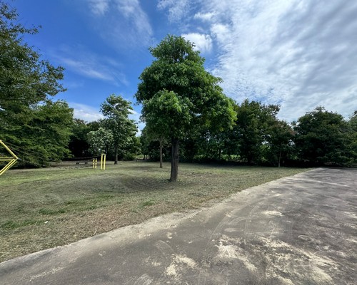 台南空地除草, 台南除草+清運, 台南樹木修剪, 台南割草, 台南庭園維護, 台南園藝景觀設計, 台南園藝造景, 台南園藝維護, 台南庭園景觀整理, 台南庭院綠化造景維護, 台南造景式景觀道路沿線植栽, 台南不定期樹木維護修剪, 
						台南草皮種植, 台南園藝維護, 台南割草, 台南修剪樹木, 台南排水施肥, 台南定期修剪, 台南樹木整型, 台南樹木美容, 台南樹木塑型, 台南園藝造景, 台南草皮定期維護工程, 
						台南樹木修剪價格, 台南樹木修剪, 台南庭園樹木整理, 台南樹木處理, 台南景觀維護, 台南園藝景觀設計