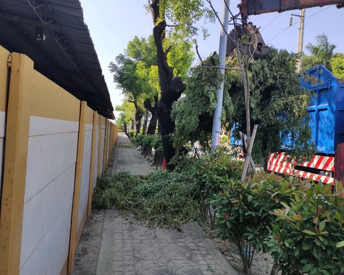 台南樹木修剪, 台南庭園樹木整理, 台南樹木處理, 台南景觀維護, 台南庭園維護, 台南割草, 台南園藝景觀設計