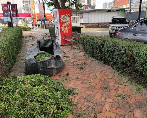 台南樹木修剪, 台南庭園樹木整理, 台南樹木處理, 台南景觀維護, 台南庭園維護, 台南割草, 台南園藝景觀設計