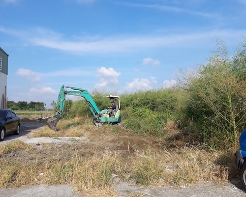 鹽水除草, 鹽水鋸樹整地, 鹽水建地整地, 鹽水鋪抑草蓆, 鹽水除草割草, 鹽水廠區修剪維護, 鹽水雜草清理, 鹽水除草整地, 
鹽水除草先生, 鹽水除草割草, 鹽水割草除草, 鹽水空地除草, 鹽水空地割草, 鹽水除草, 鹽水環境整理, 鹽水庭園整修, 鹽水樹木修剪, 鹽水割草, 鹽水庭園維護, 鹽水園藝景觀設計